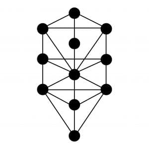 The Tree of Life Image