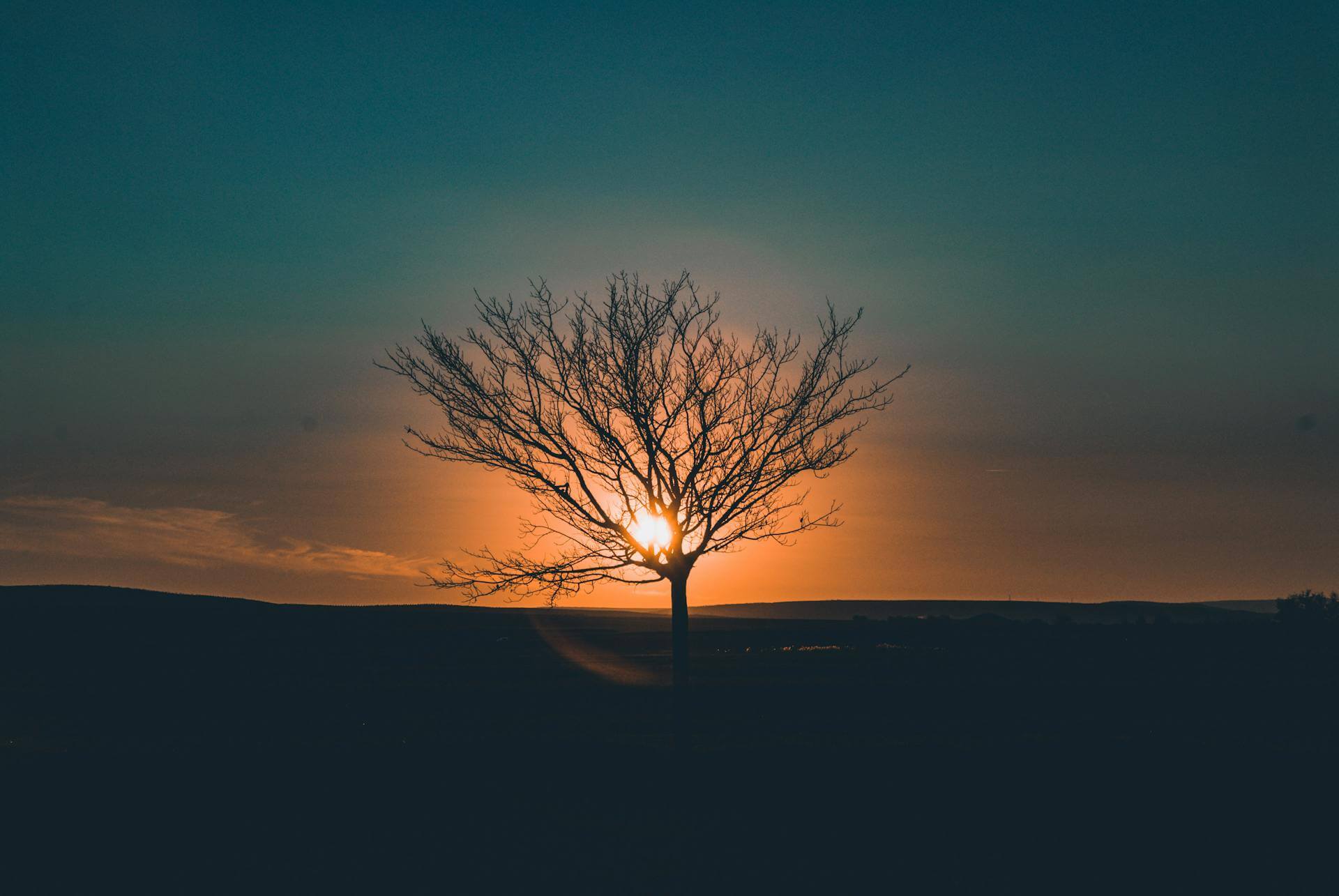 Singe Definition in Human Design