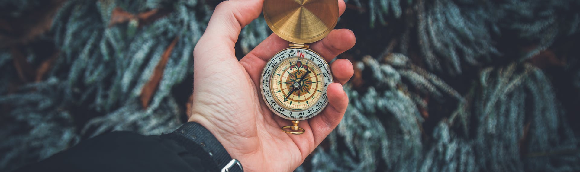 Human Design Gate - The Gate of Direction