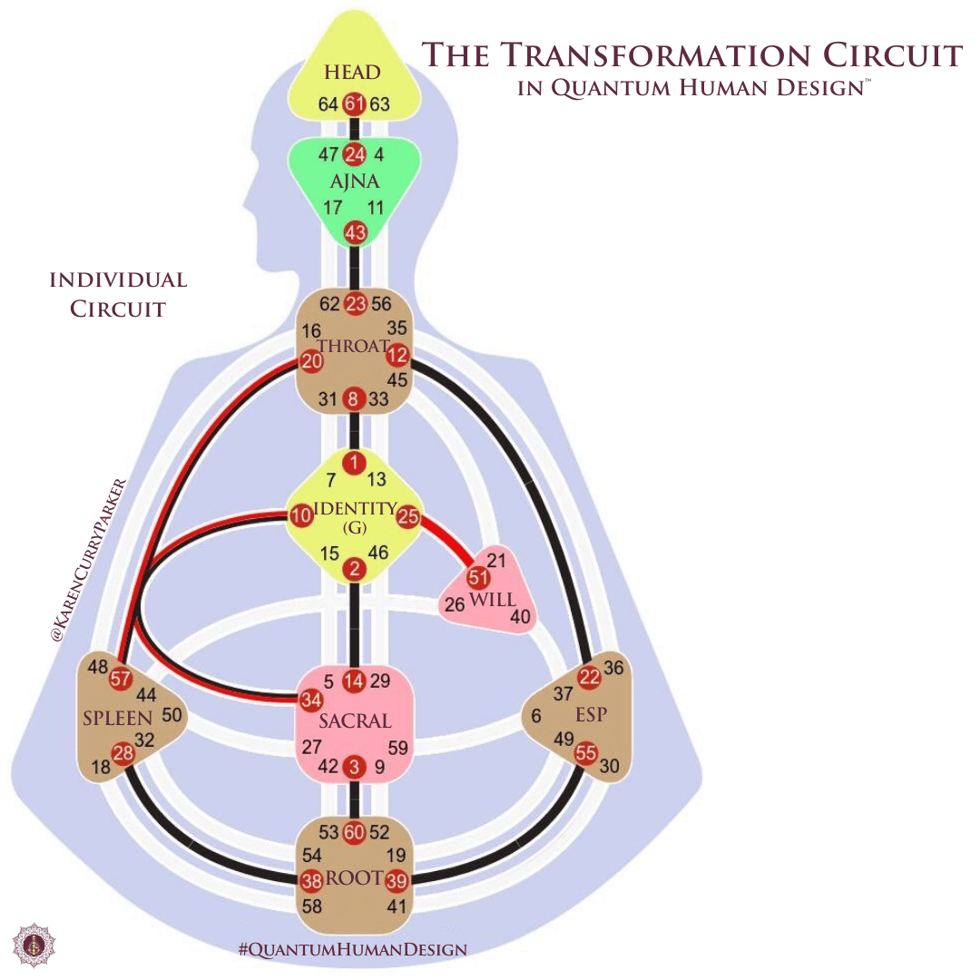 Human Design Individual Circuit