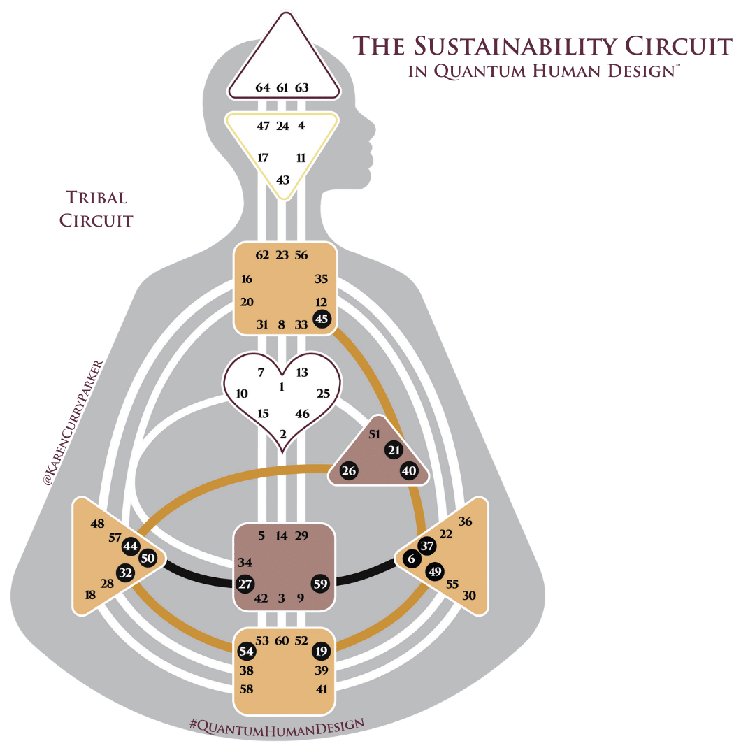 Human Design Circuits - The Sustainability Circuit