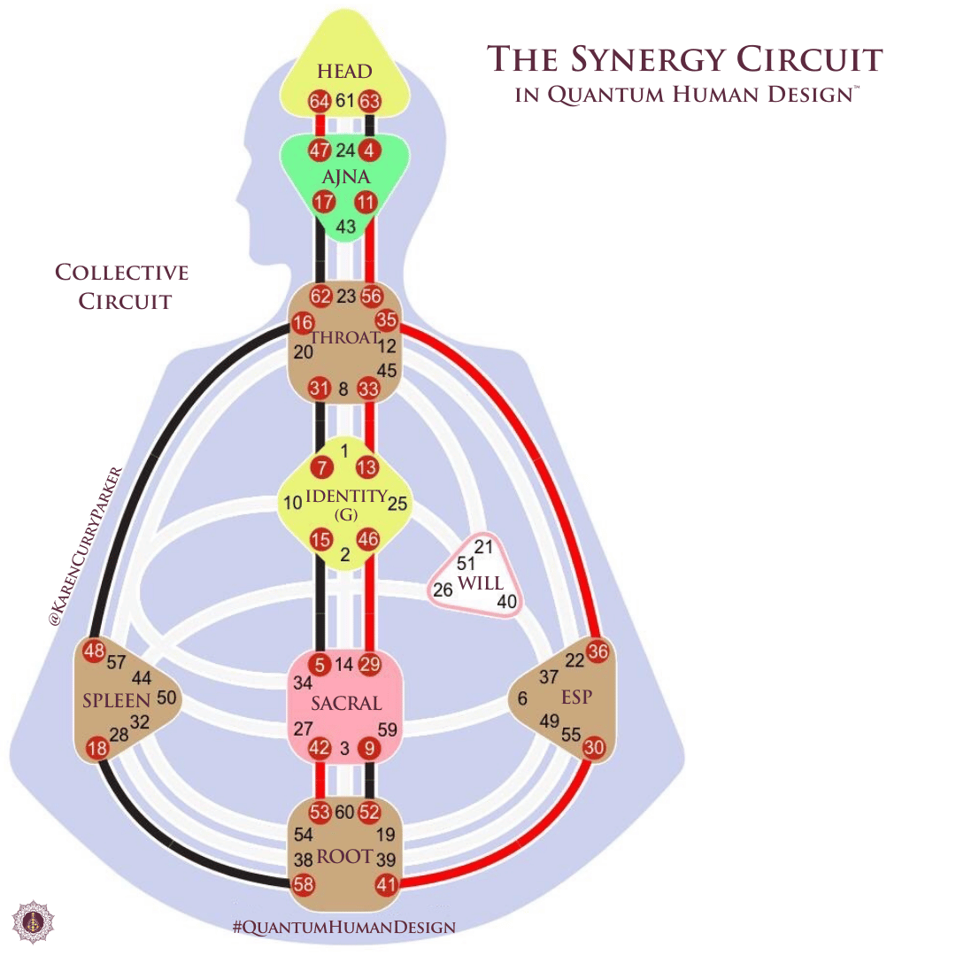 Collective Circuit
