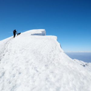 Person walking up a snow covered mountain
