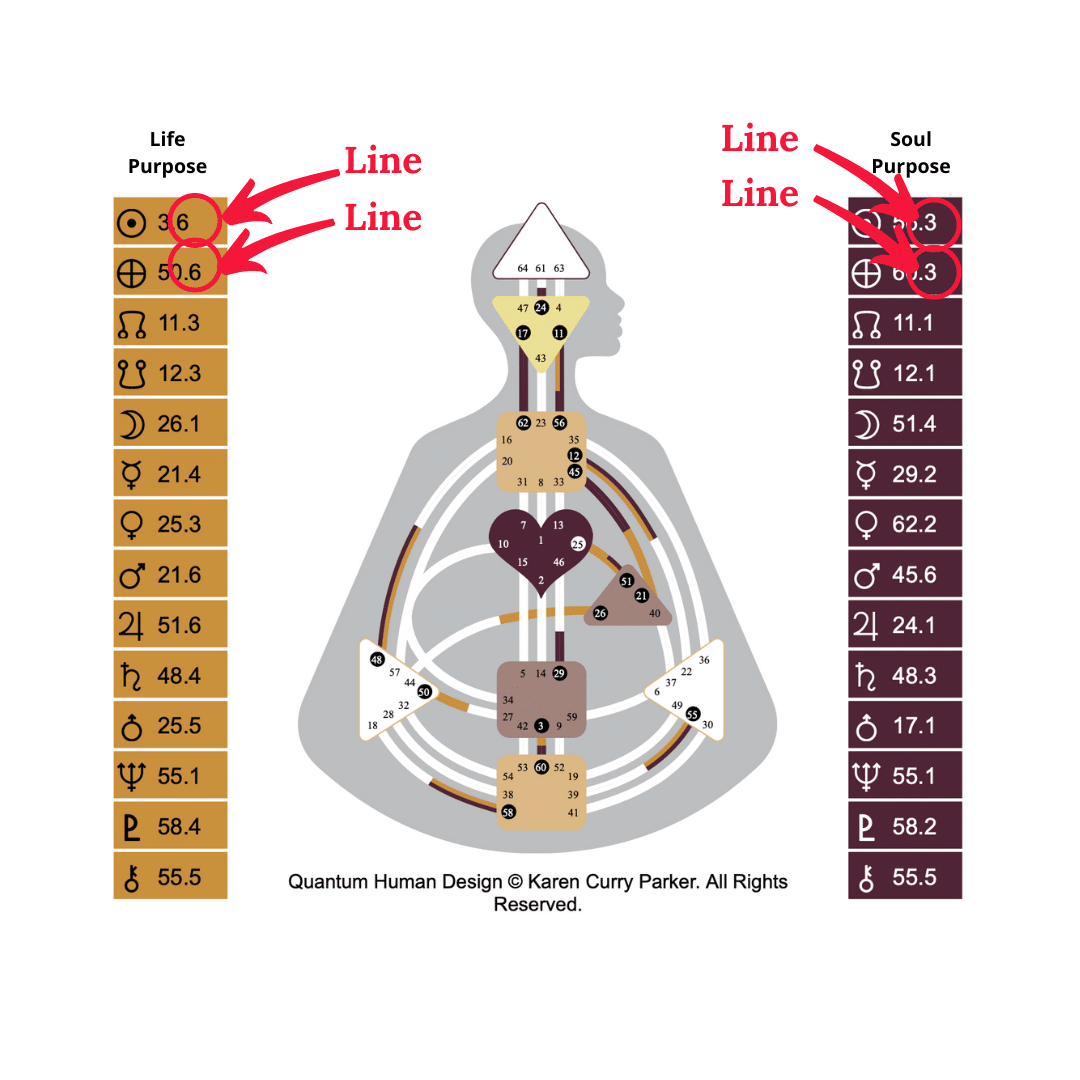 Line on a Human Design Cahrt