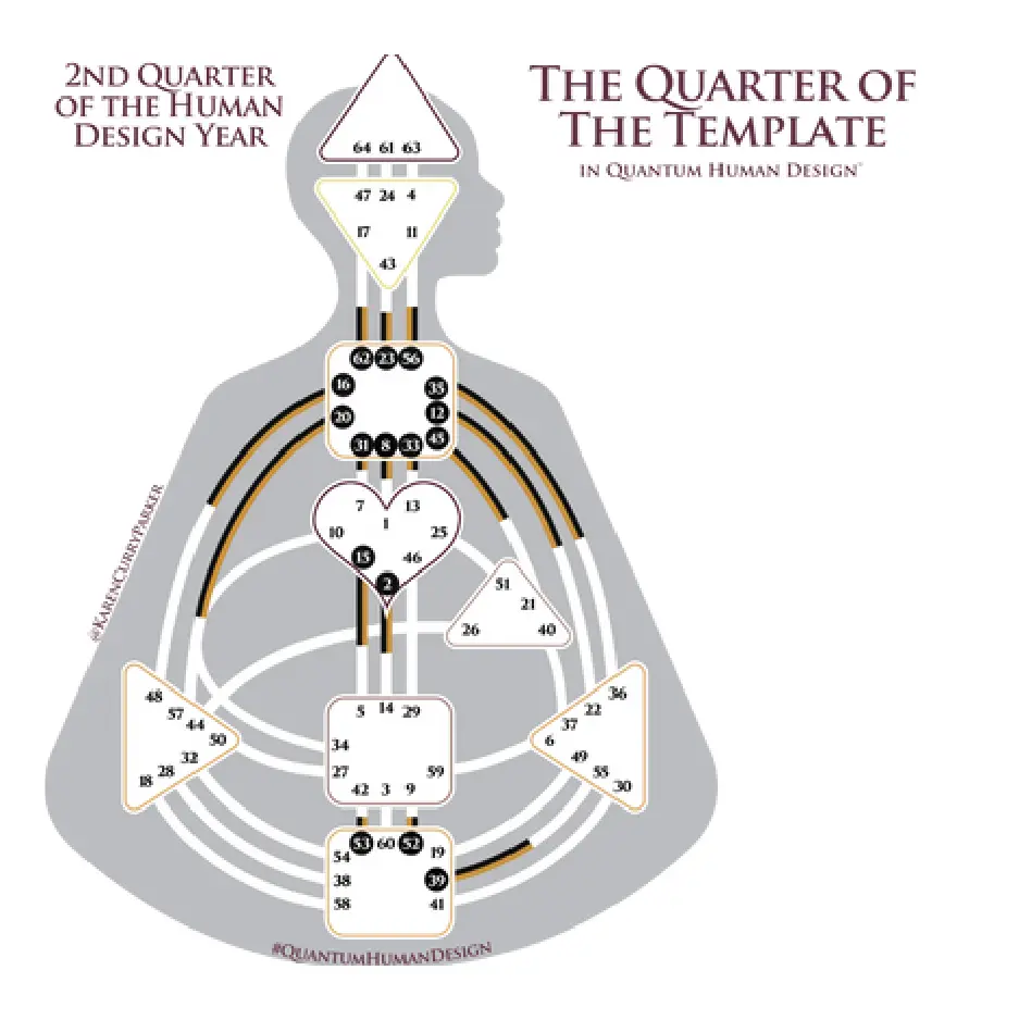 Second Quarter in the Human Design Year - the Quarter of the Template