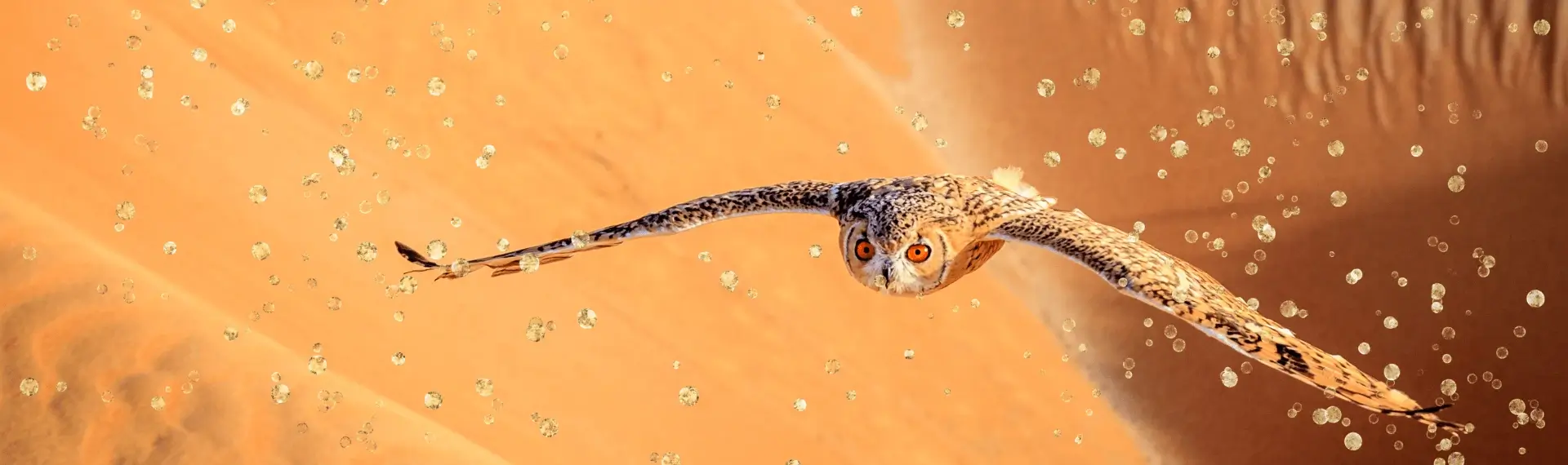 The Left Angle Cross of Limitation in Human Design