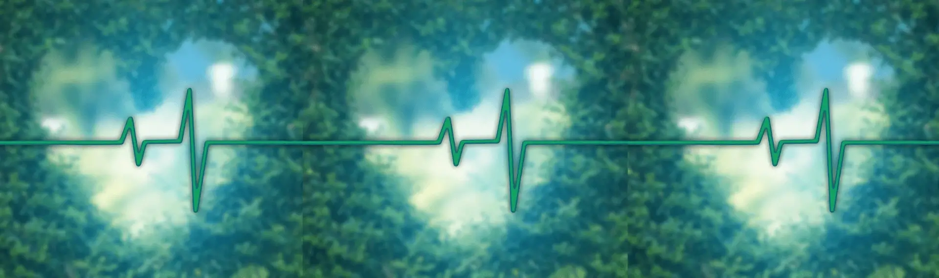 Left Angle Cross of Prevention in Human Design