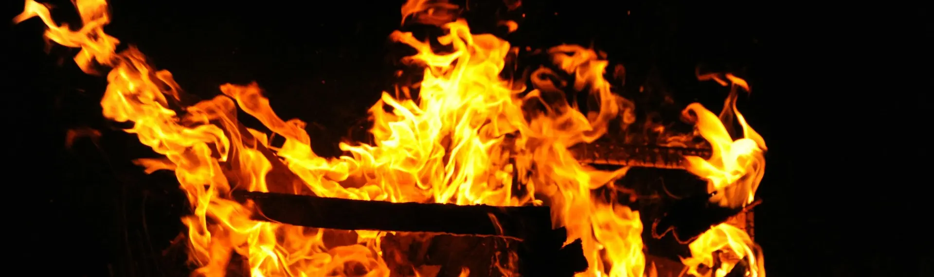 Human Design Gate 30 The Gate of Desire.