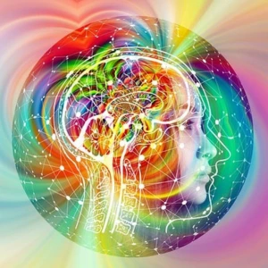 Intuition and creativity