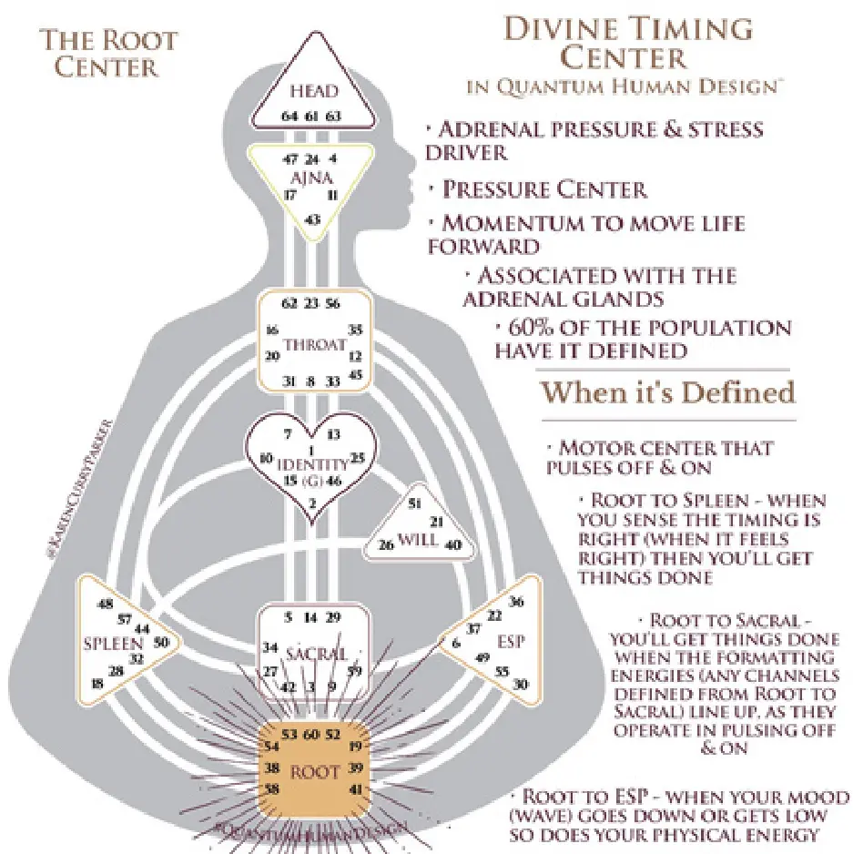 Human Design Chart - Defined Root Center