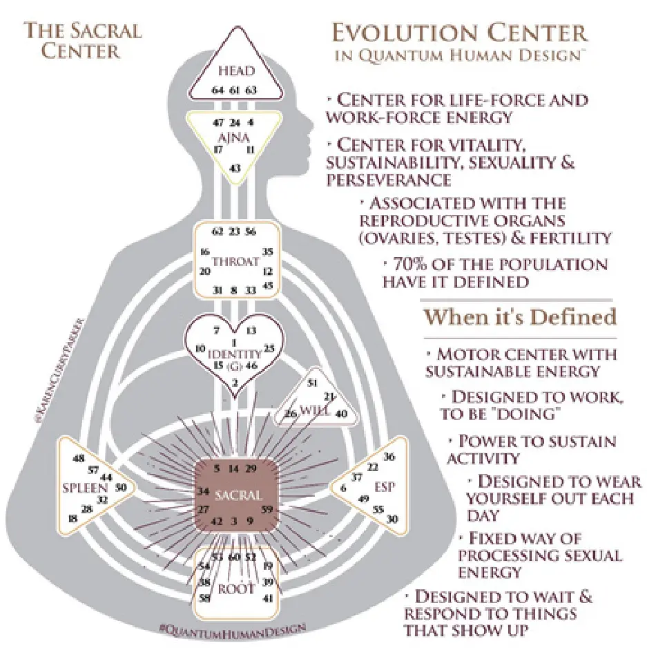 Human Design chart - Defined Sacral