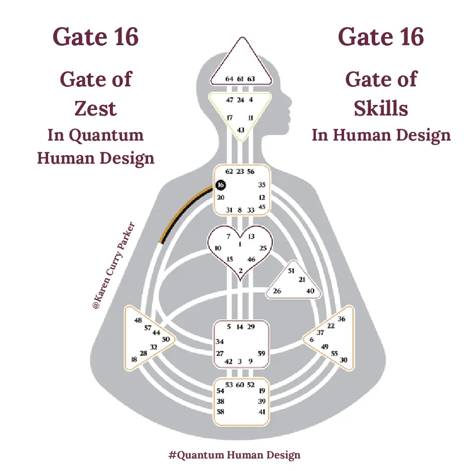 Human Design Gate 16 - the Gate of Skills