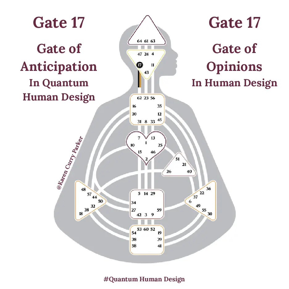Human Design Gate 17 - The Gate of Judgement 