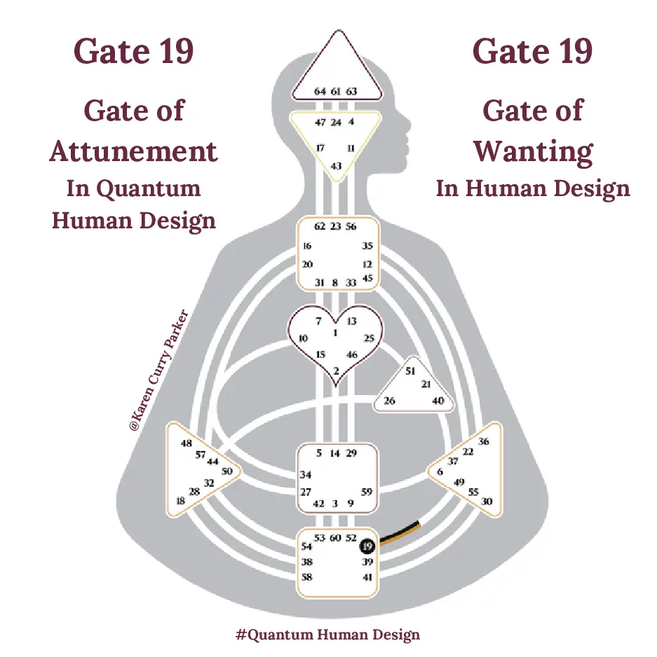 Human Design Gate 19 - the Gate of Wanting / Attunement