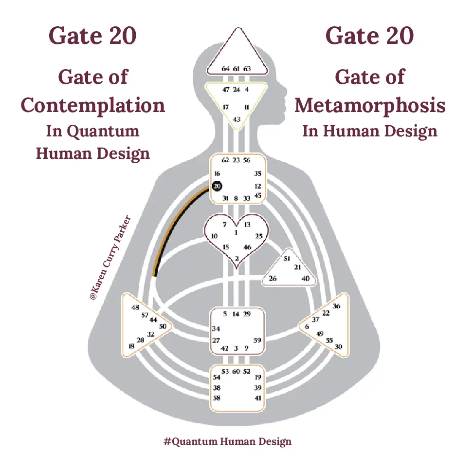 Human Design Gate 20 - The Gate of Metamorposis
