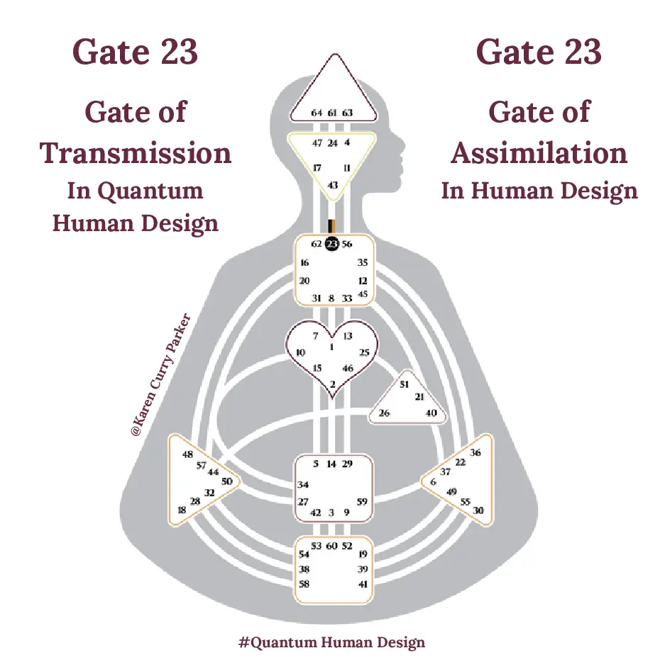 Human Design Gate 23 - the Gate of Assimilation