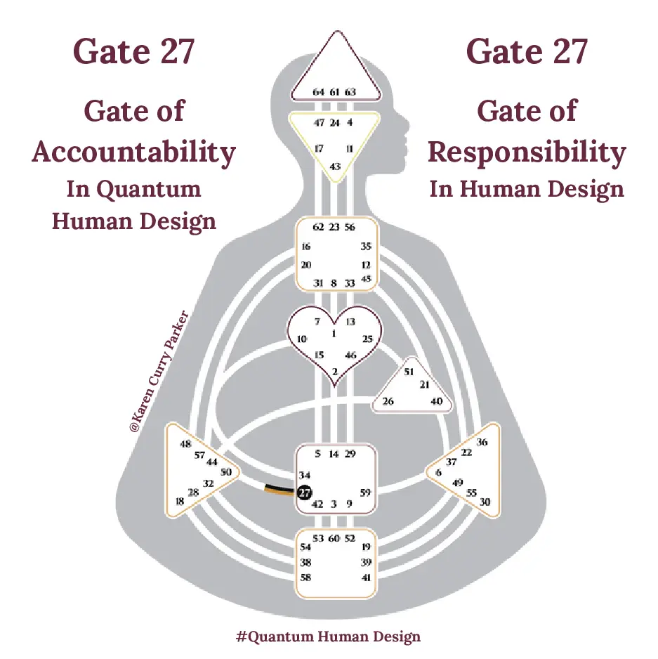 Human Design Gate 27 - The Gate of Responsibility