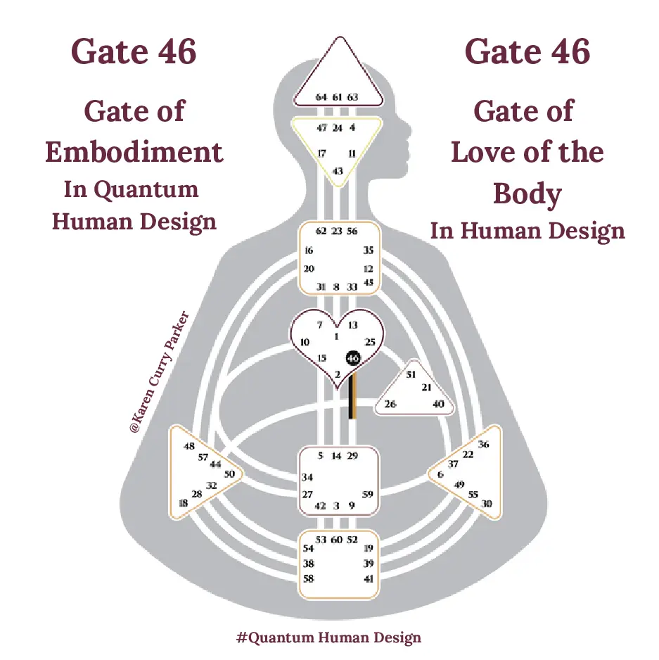 Human Design Gate 46 - The Gate of the Love of the Body