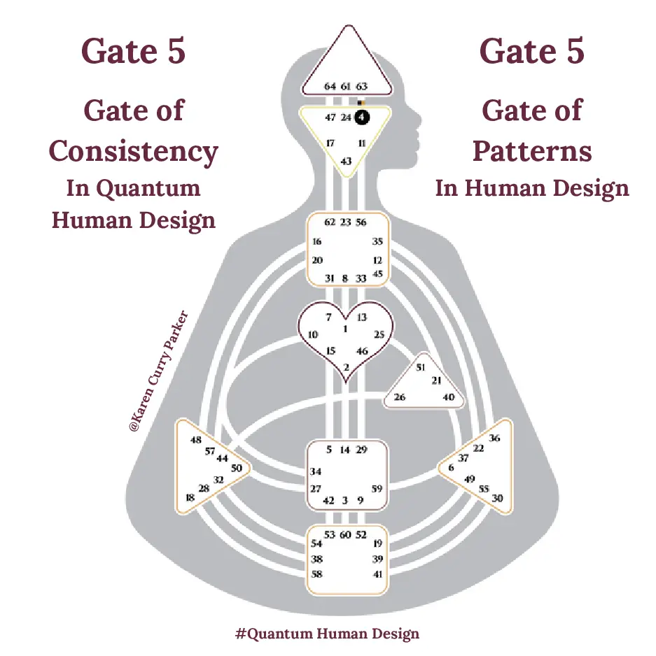 Human Design Gate 5