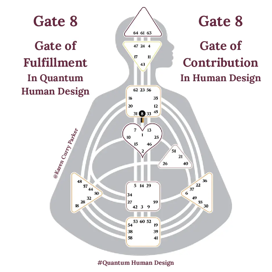 Human Design Gate 8 - Contribution