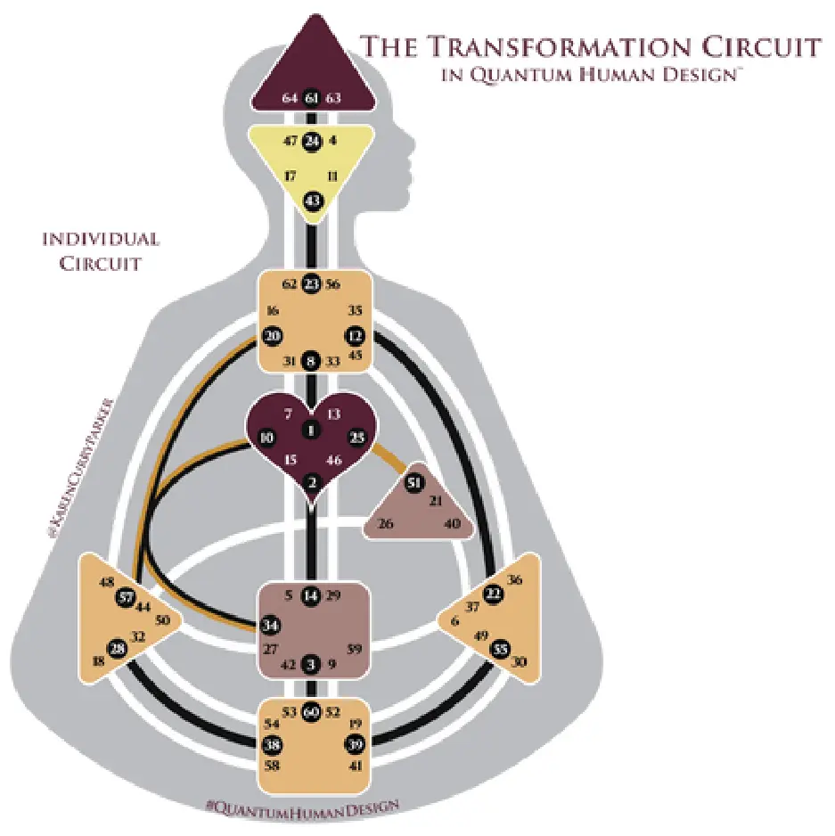Human Design Chart - Individual / Transformation Circuit