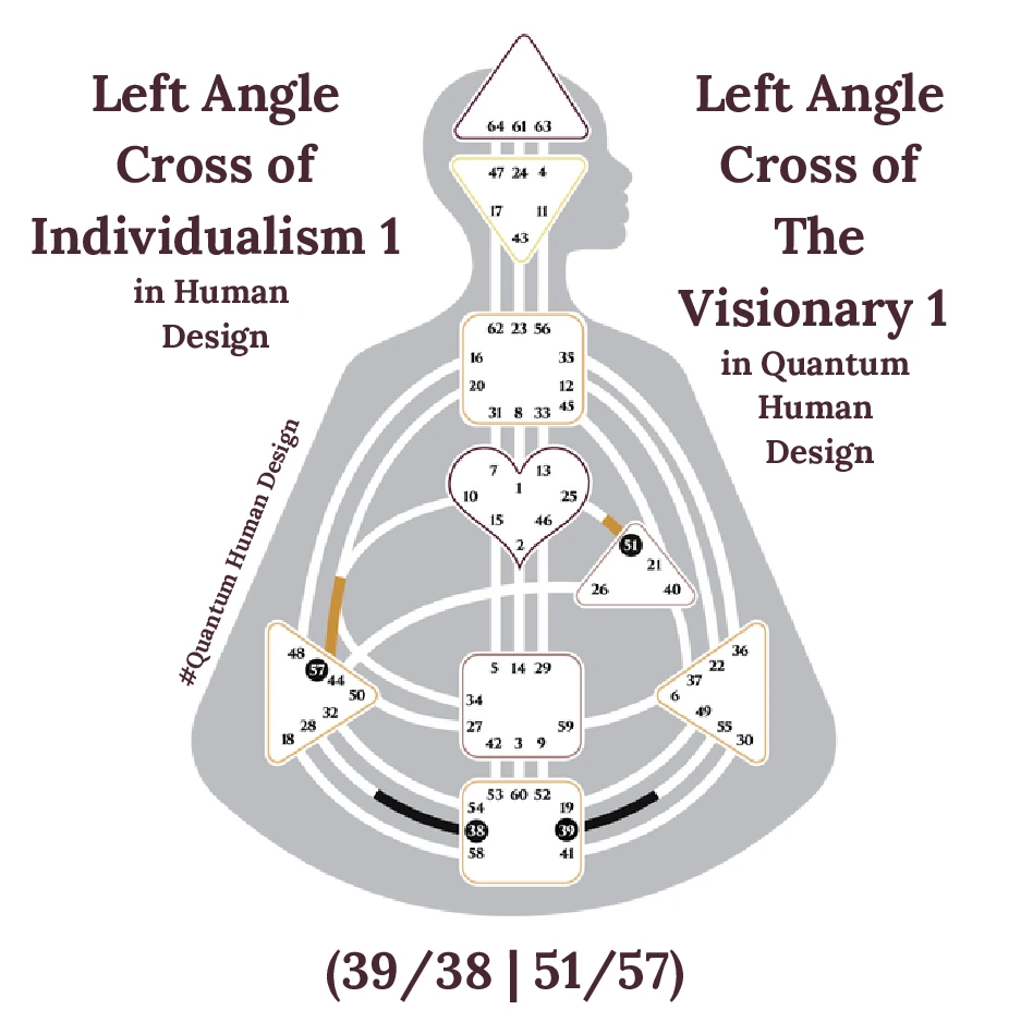 Left Angle Cross of Individualism 1 in Human Design
