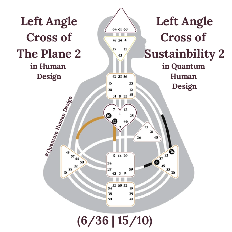 Left Angle Cross of The Plane 2