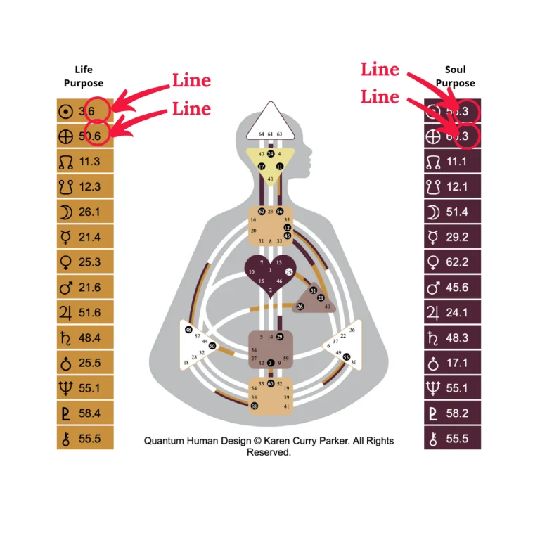 Human Design Profiles - Lines Image
