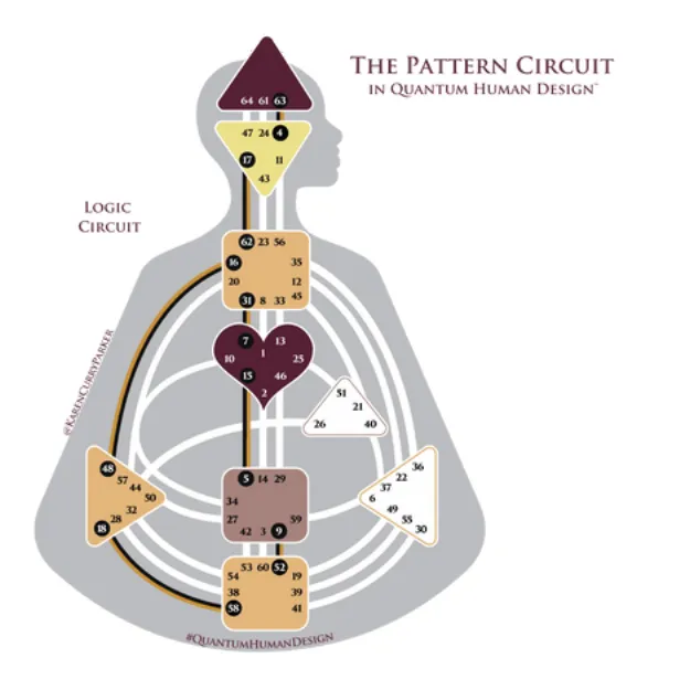 Logic Circuit in Human Design