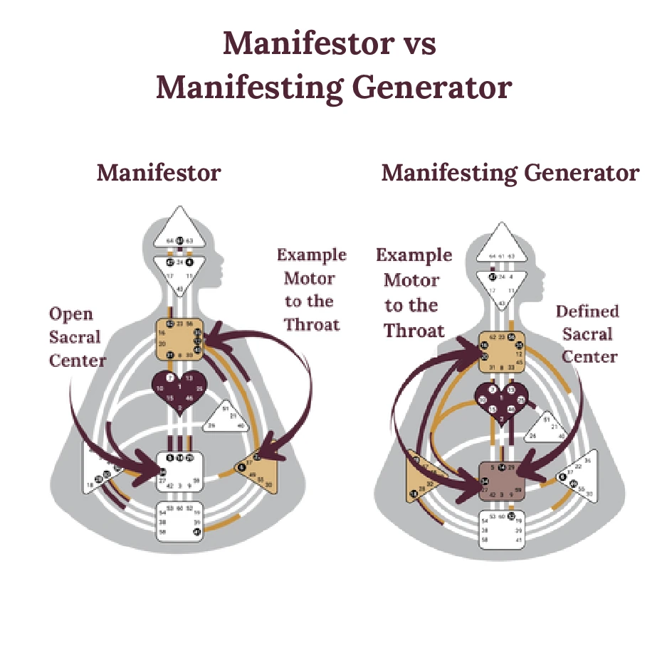 Difference between Manifestor and Manifesting Generator bodygraph charts