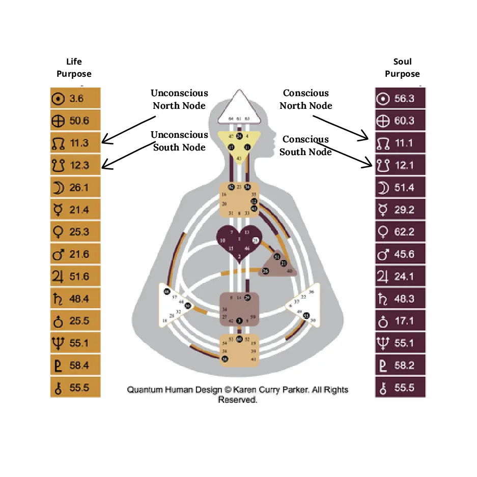 North and South Nodes in Human Design - where to find the Nodes