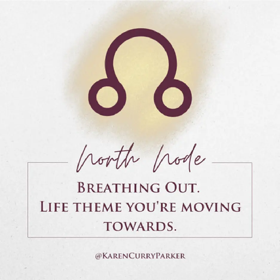 North and South Nodes in Human Design - North Node - our future