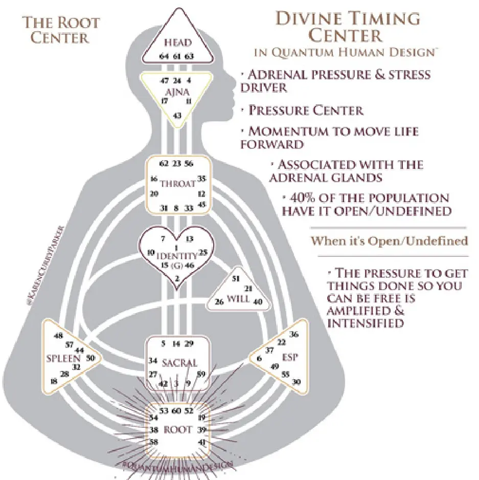 Human Design Chart - Open Root Center