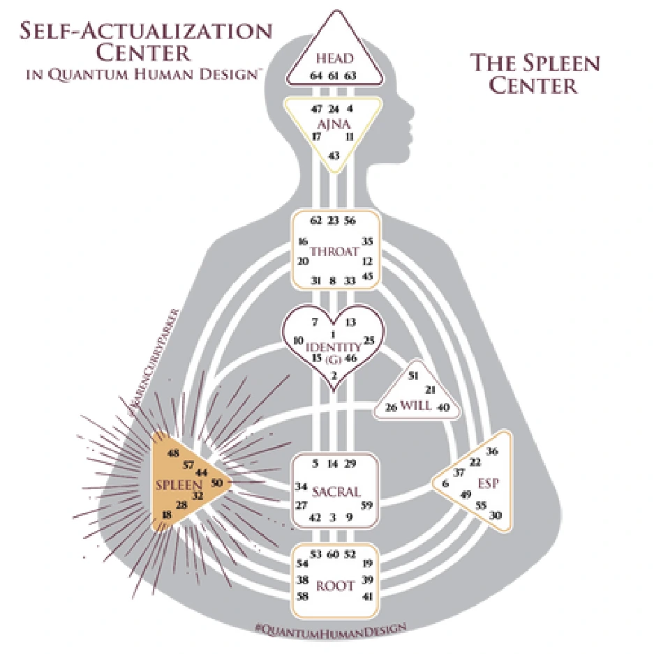Spleen Center in Human Design